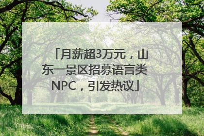 月薪超3万元，山东一景区招募语言类NPC，引发热议