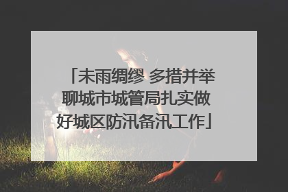 未雨绸缪 多措并举 聊城市城管局扎实做好城区防汛备汛工作