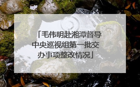 毛伟明赴湘潭督导中央巡视组第一批交办事项整改情况