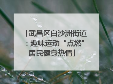 武昌区白沙洲街道：趣味运动“点燃”居民健身热情