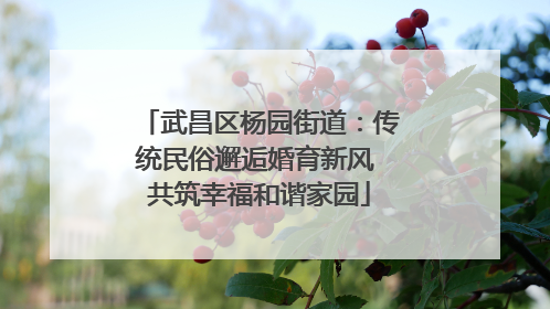 武昌区杨园街道：传统民俗邂逅婚育新风 共筑幸福和谐家园
