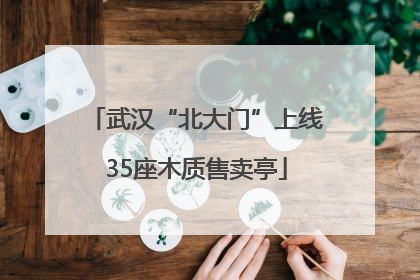武汉“北大门”上线35座木质售卖亭