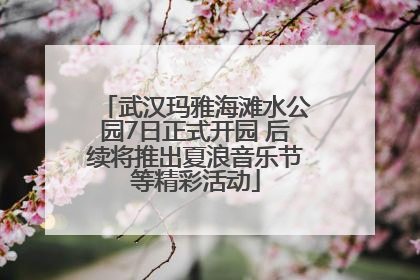 武汉玛雅海滩水公园7日正式开园 后续将推出夏浪音乐节等精彩活动