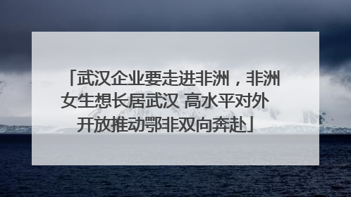 武汉企业要走进非洲，非洲女生想长居武汉 高水平对外开放推动鄂非双向奔赴
