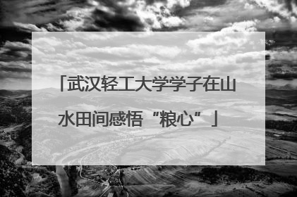 武汉轻工大学学子在山水田间感悟“粮心”