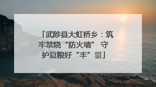 武陟县大虹桥乡：筑牢禁烧“防火墙” 守护夏粮好“丰”景