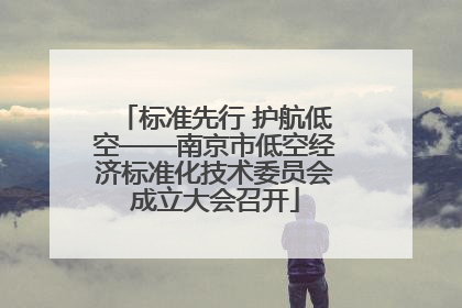 标准先行 护航低空——南京市低空经济标准化技术委员会成立大会召开