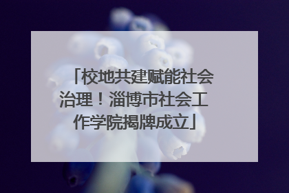 校地共建赋能社会治理！淄博市社会工作学院揭牌成立