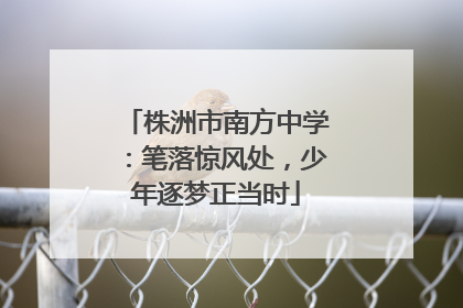 株洲市南方中学：笔落惊风处，少年逐梦正当时