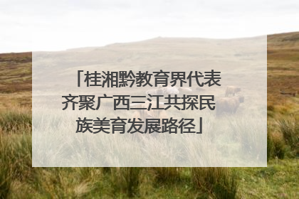 桂湘黔教育界代表齐聚广西三江共探民族美育发展路径