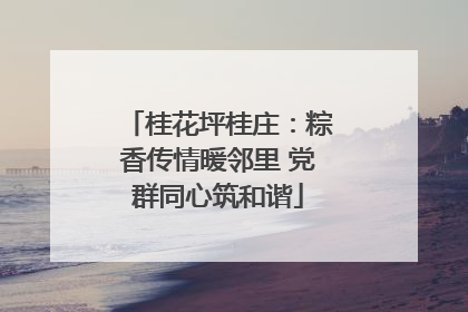 桂花坪桂庄：粽香传情暖邻里 党群同心筑和谐