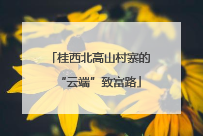 桂西北高山村寨的“云端”致富路