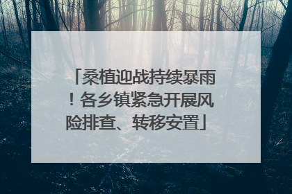 桑植迎战持续暴雨！各乡镇紧急开展风险排查、转移安置
