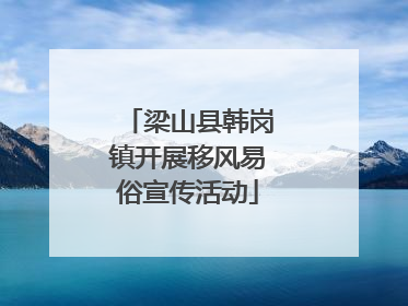 梁山县韩岗镇开展移风易俗宣传活动