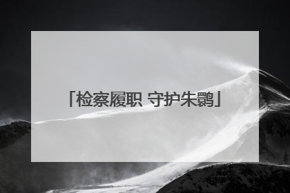 检察履职 守护朱鹮