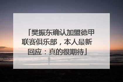 樊振东确认加盟德甲联赛俱乐部，本人最新回应：真的很期待