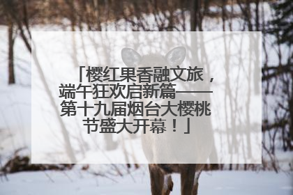 樱红果香融文旅，端午狂欢启新篇——第十九届烟台大樱桃节盛大开幕！