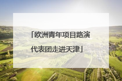 欧洲青年项目路演代表团走进天津