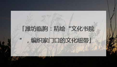 潍坊临朐：精绘“文化书院”，编织家门口的文化纽带