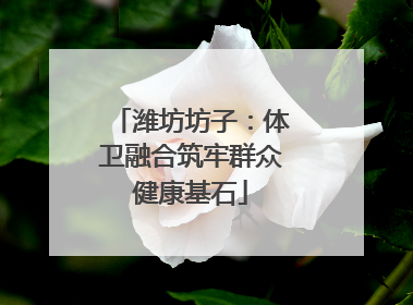 潍坊坊子：体卫融合筑牢群众健康基石