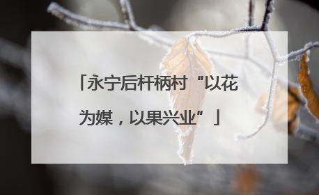 永宁后杆柄村“以花为媒，以果兴业”