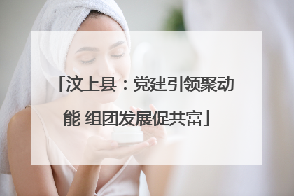 汶上县：党建引领聚动能 组团发展促共富