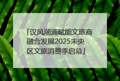 汉风潮涌赋能文旅商融合发展2025未央区文旅消费季启幕