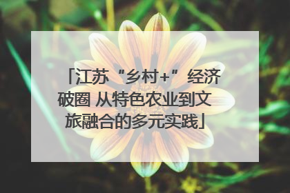 江苏“乡村+”经济破圈 从特色农业到文旅融合的多元实践