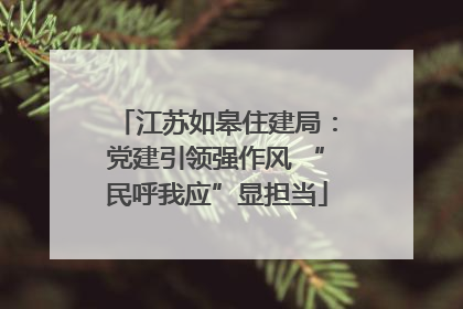 江苏如皋住建局：党建引领强作风 “民呼我应”显担当