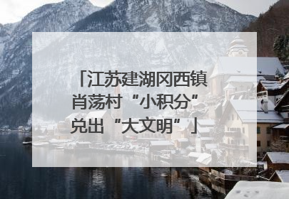 江苏建湖冈西镇肖荡村“小积分”兑出“大文明”
