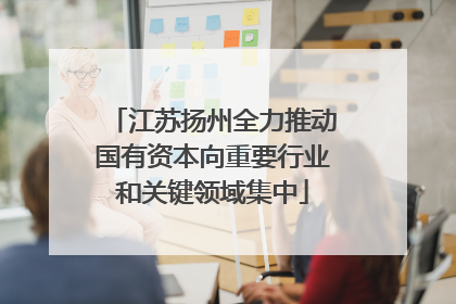 江苏扬州全力推动国有资本向重要行业和关键领域集中