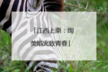 江西上栗：绚美焰火致青春