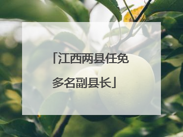 江西两县任免多名副县长