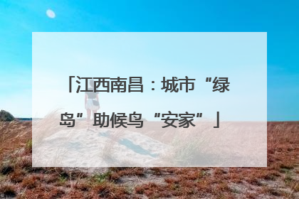 江西南昌：城市“绿岛”助候鸟“安家”
