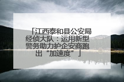 江西泰和县公安局经侦大队：运用新型警务助力护企安商跑出“加速度”