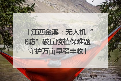 江西金溪：无人机“飞防”破丘陵植保难题 守护万亩早稻丰收
