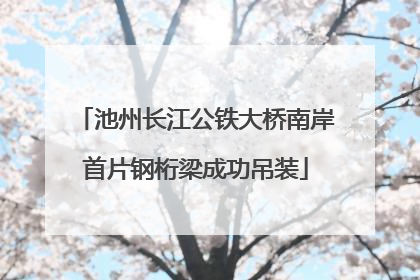 池州长江公铁大桥南岸首片钢桁梁成功吊装