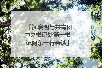 沈晓明与共青团中央书记处第一书记阿东一行会谈