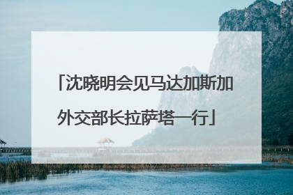 沈晓明会见马达加斯加外交部长拉萨塔一行