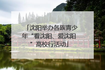 沈阳举办各族青少年“看沈阳、爱沈阳”高校行活动