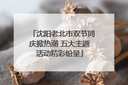 沈阳老北市双节同庆掀热潮 五大主题活动精彩纷呈
