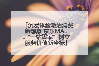 沉浸体验激活消费新想象 京东MALL“一站置家”树立服务价值新坐标