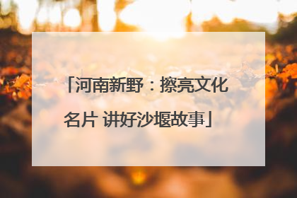 河南新野：擦亮文化名片 讲好沙堰故事