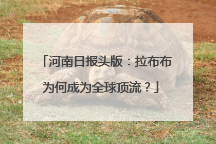 河南日报头版：拉布布为何成为全球顶流？
