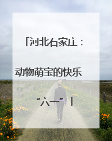 河北石家庄：动物萌宝的快乐“六一”