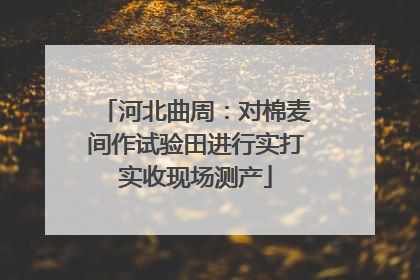 河北曲周：对棉麦间作试验田进行实打实收现场测产