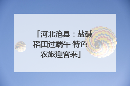 河北沧县：盐碱稻田过端午 特色农旅迎客来