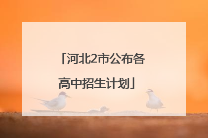 河北2市公布各高中招生计划