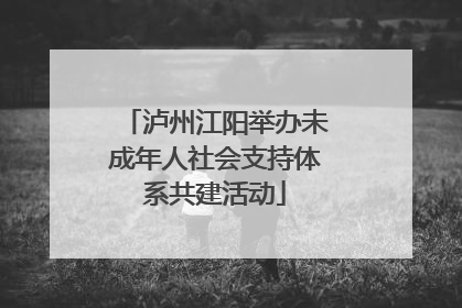 泸州江阳举办未成年人社会支持体系共建活动