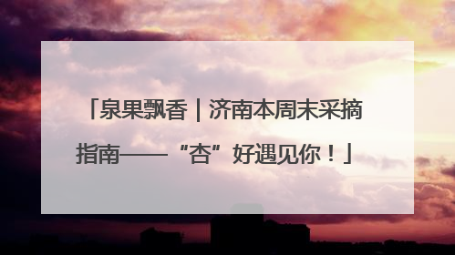泉果飘香｜济南本周末采摘指南——“杏”好遇见你！